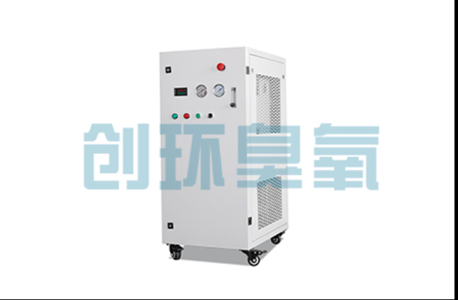 河池工厂化养鲈必看:2026年臭氧发生器替代传统消毒的最新方案