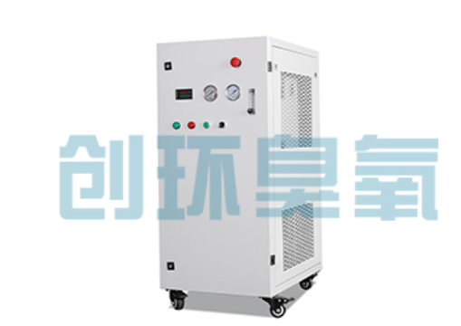 河池石斑鱼养殖水质调控完整指南:臭氧发生器配置与操作步骤