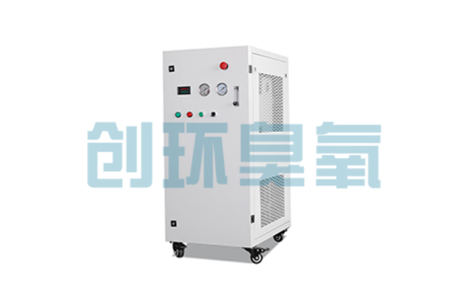 河池比传统换水更高效?臭氧发生器在石斑鱼养殖中的水质净化原理解析